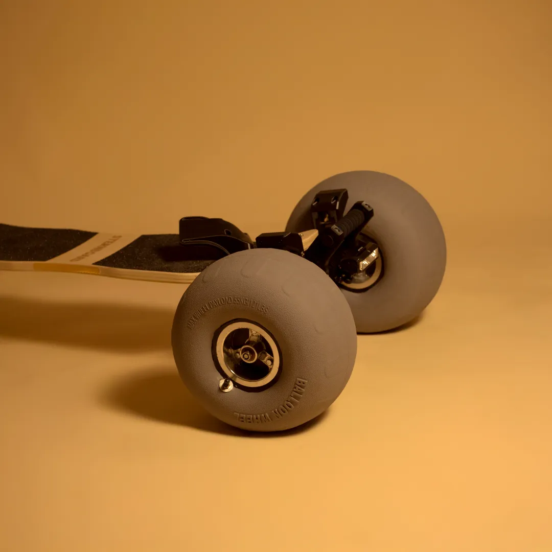 roues ballon skateboard électrique Sternboard sable dunes longboard électrique
