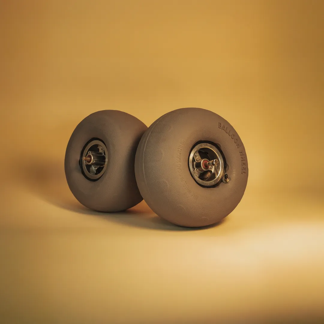 roues ballon longboard électrique Sternboard sable e-skate flottaison