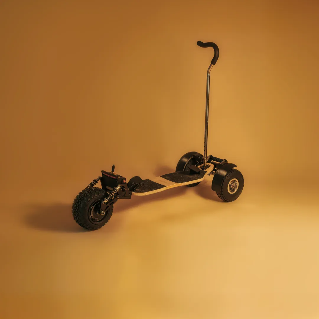 canne initiation skateboard électrique Sternboard apprentissage sécurisé longboard électrique