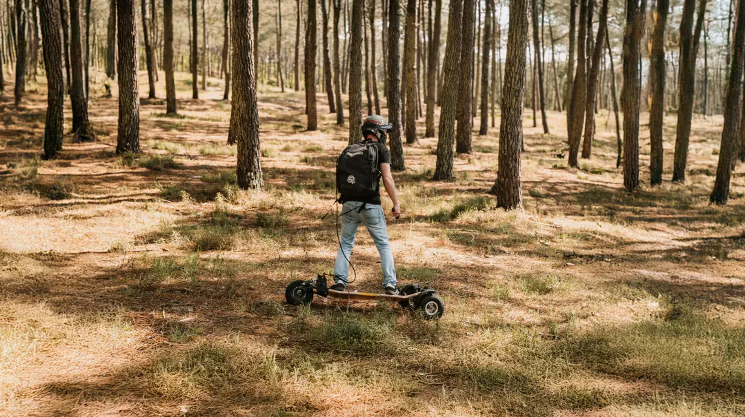 Forêt carving longboard électrique Sternboard technique virages boisé forestière
