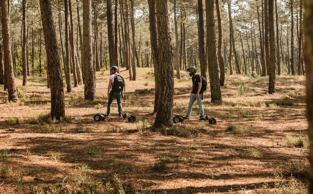 Forêt e-board Sternboard van lifers bois nature sylvestre nomade