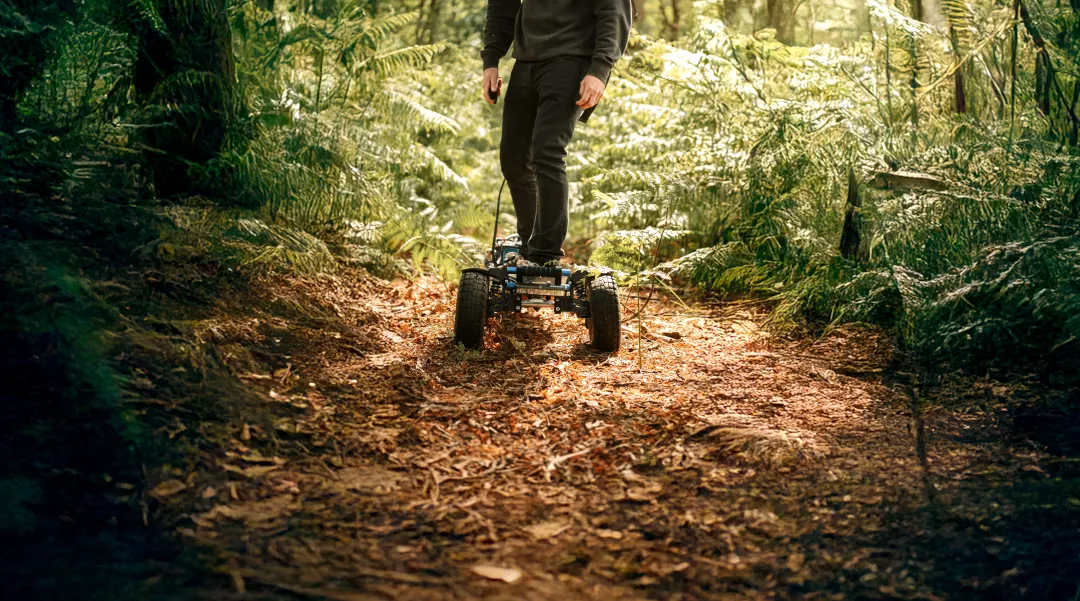 Forêt planche électrique Sternboard sentier boisé navigation forestière terrain
